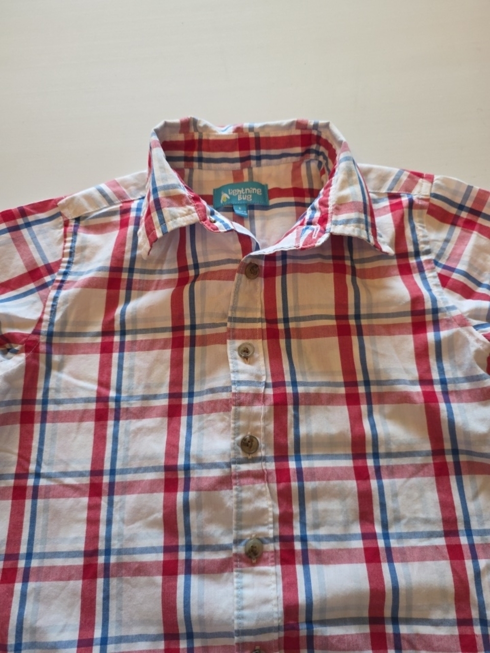 Boys Red & Blue Plaid Button-Down Shirt